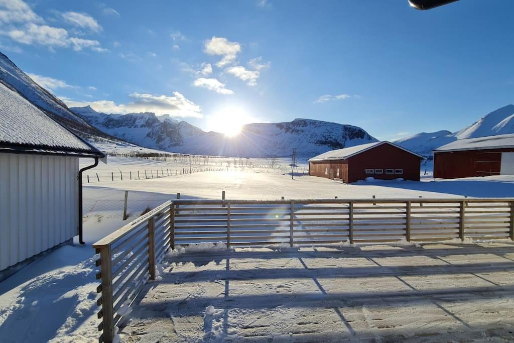 Arctic Lodge Tromvik With Jacuzzi ترومسو المظهر الخارجي الصورة