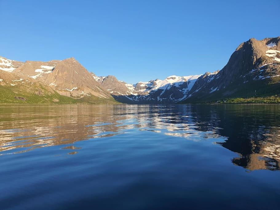 Arctic Lodge Tromvik With Jacuzzi ترومسو المظهر الخارجي الصورة
